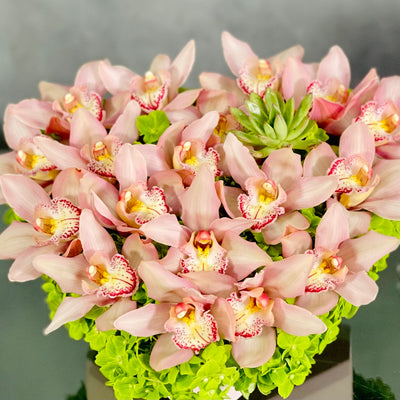 A Pink Delicate Touch arrangement with pink cymbidium orchids, hydrangeas, and succulent in a heart-shaped box, modern same-day delivery by Beverly Hills Florist.