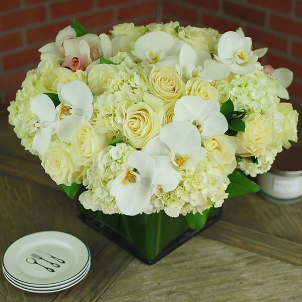 Ivory Chiffon - beverlyhillsflorist