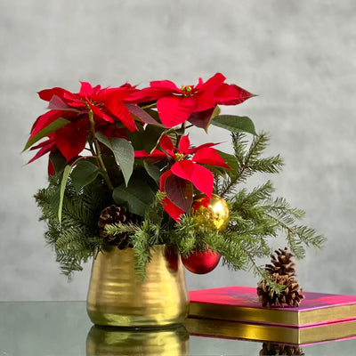 Christmas arrangement featuring poinsettias, holiday ornaments, seasonal greens, and pine cones in a gold pot, available for same-day delivery by Beverly Hills Florist.