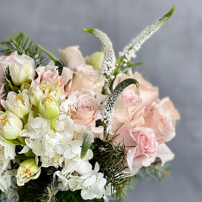 Cream Holiday Delight - beverlyhillsflorist