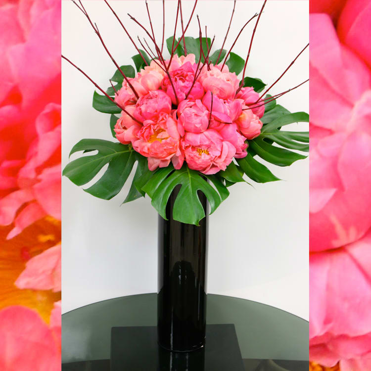 Beverly Hills Florist presents same day delivery for our Celestial Peonies. Perfect for love and romance, decore, Birthdays and more ! Consists of beautiful Peonies, seasonal greens and is accented with a tall black vase! 