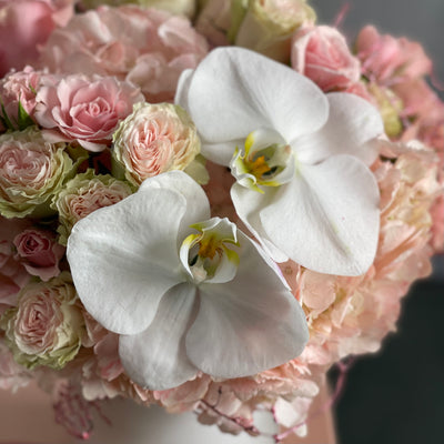 Dancing on the Clouds arrangement featuring soft pink hydrangeas, roses, spray roses, and white orchids in a chic white ceramic vase, perfect for all occasions.