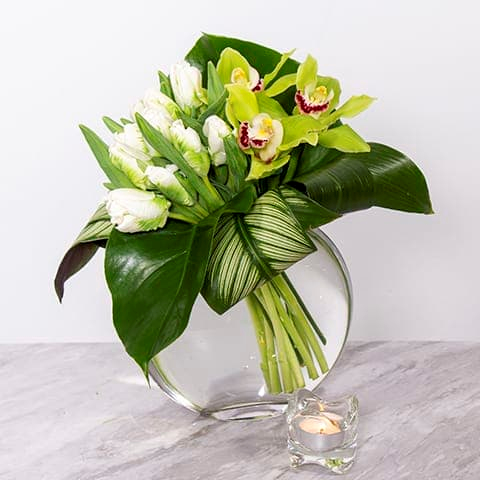 My Beverly Hills Florist presents same day delivery for our Green Goddess. Perfect for an office, birthday, small event or a get well soon. 