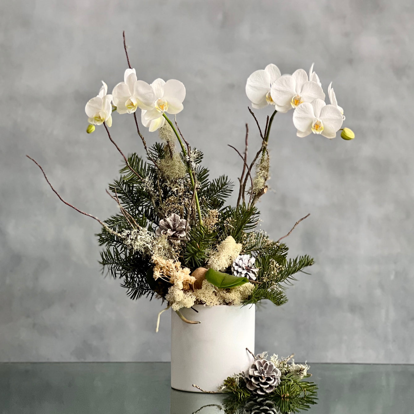 Elegant white orchid holiday arrangement in a round white ceramic vase with festive holiday accents.