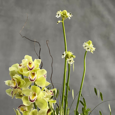 La Belle Verte - beverlyhillsflorist