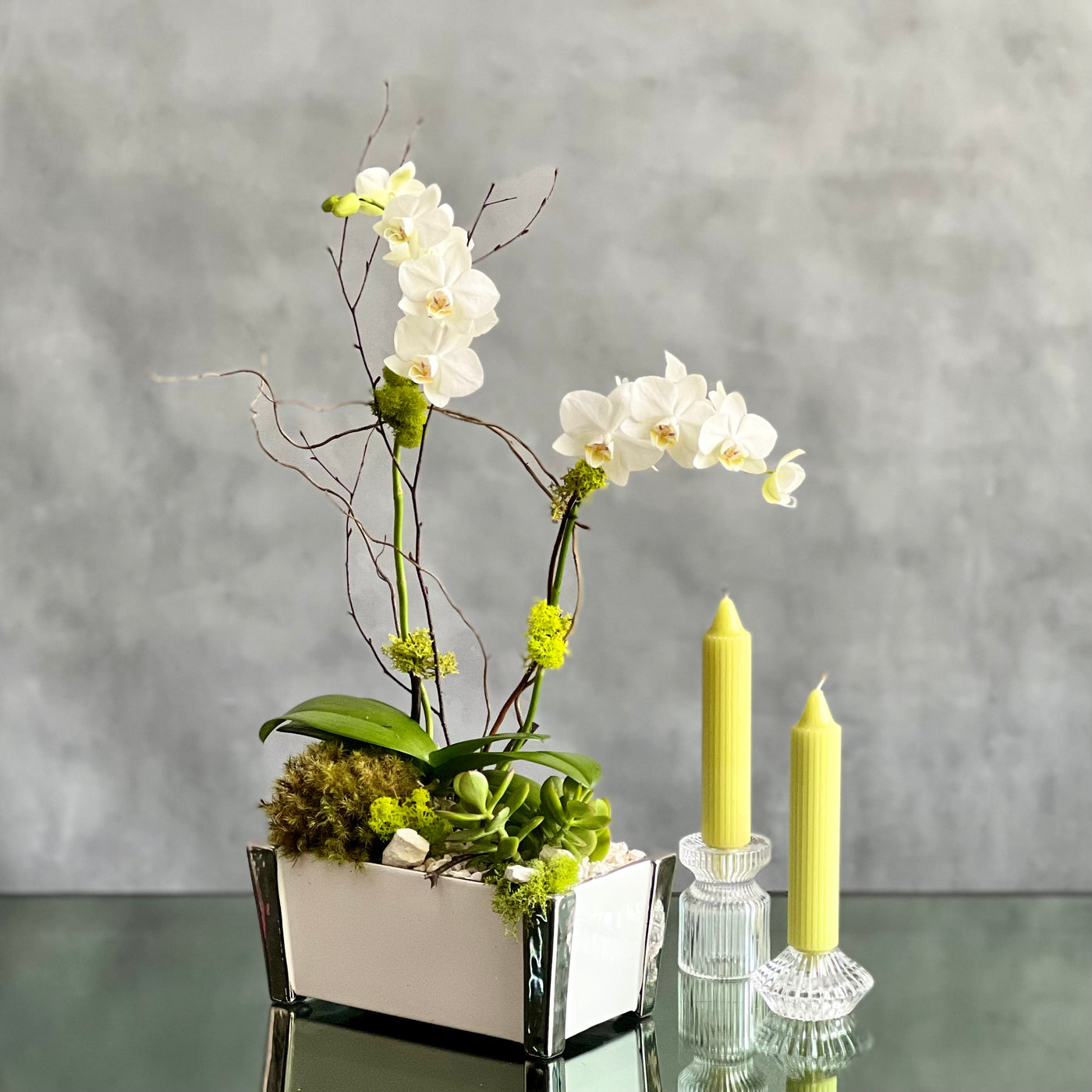White Orchid Zen
