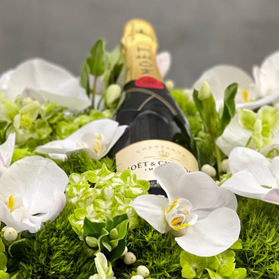 Beverly Hills Florist presents this luxury Moet floral box with orchids and other locally sourced flowers. 24 inch square box