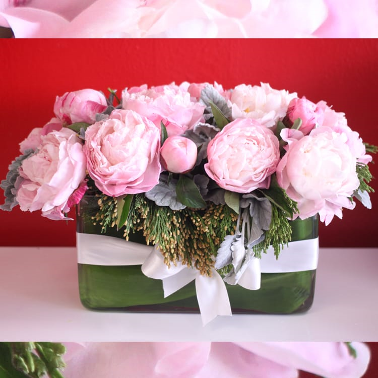 Precious Pink Peonies - beverlyhillsflorist