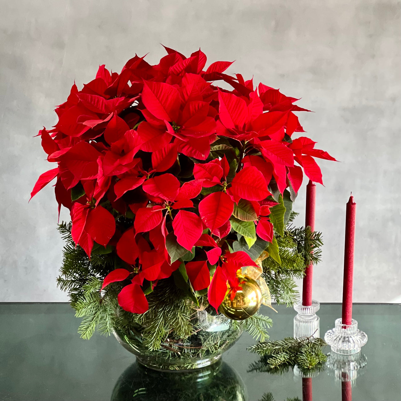 Poinsettia Magnificence - beverlyhillsflorist