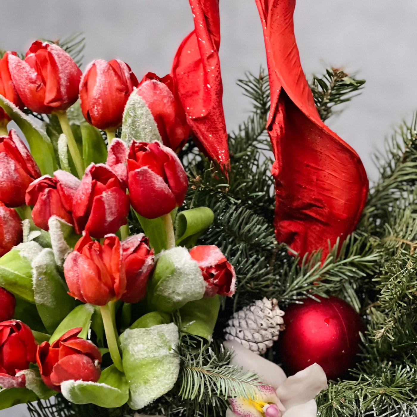 Red Christmas Tulips - Designers Choice - beverlyhillsflorist
