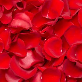 Beverly Hills Florist presents same day delivery for our rose petals ! One gallon bag of Rose Petals. Choice of Red, White or Pink. Please state what color of petals at checkout.