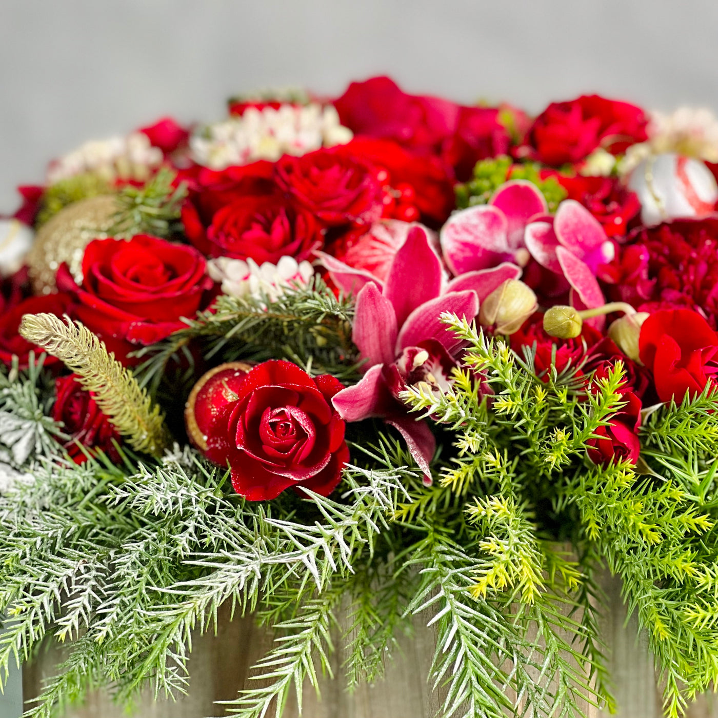 Round Christmas Gift Box featuring roses, peonies, orchids, holiday greens, berries, and pine cones in a decorative round box, available for same-day delivery by Beverly Hills Florist.