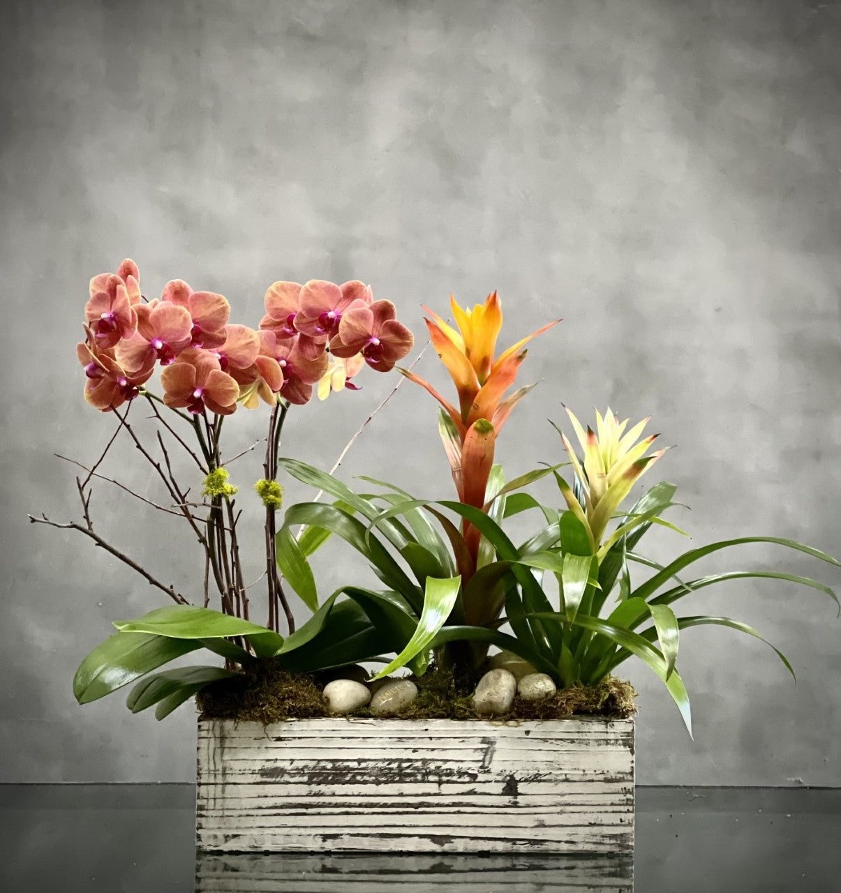A superb design in so many ways Beverly Hills Florist presents Tropical punch for same day delivery .... This unique floral piece is a stunning mix of mini orchids and bromelia plants in a wooden box filled with rocks. a "nature" engraved rock is included with the arrangement. Delicate and eye catching for Birthdays, Get well soon, office décor and more.  Approx: 12 H x 21" W . Please pick the wording you like for the arrangement and let us know under florist note.