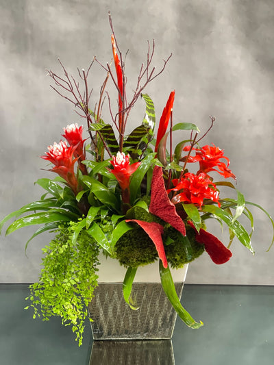 My beverly hills florist offers same day delivery to our customers that want something different. If you're not into flowers... here is an assorted bromeliads arrangement potted in a beautiful modern white and silver vase. Way to impress someone who love plants. This arrangement is approximately 33 Inches tall and 21 inches wide. A floral piece is a wonderful gift just because or for him. 