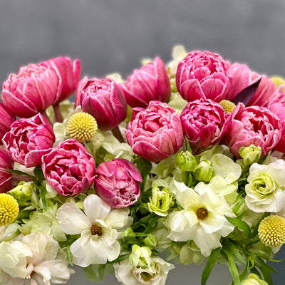 Tulips on clouds - beverlyhillsflorist