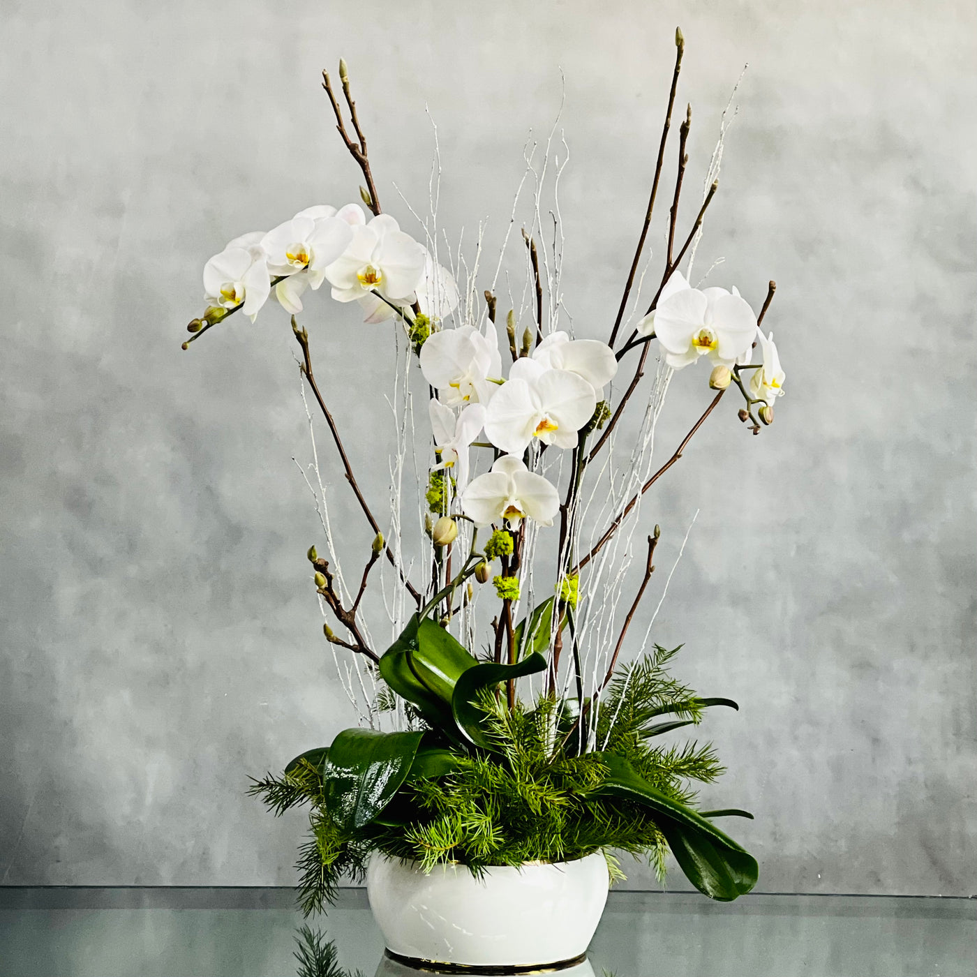 Holiday Orchid Zensation - beverlyhillsflorist