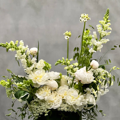 Beverly Hills Florist offers same day deliver of A stunning and sophisticated arrangement in pure white that is ideal for a myriad of occasions.This superb and artfully arranged design includes white peonies, Snap Dragons and other white seasonal floral are dramatized by matte black vase. Simply superb!