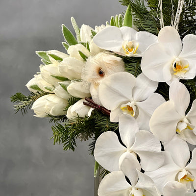 Winterfall - beverlyhillsflorist