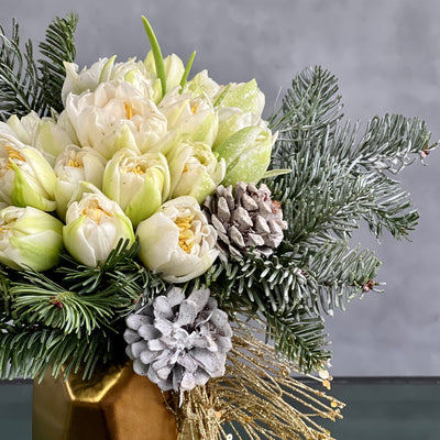 Geo Holiday Tulips - beverlyhillsflorist